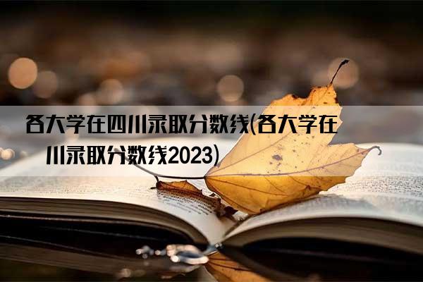 各大学在四川录取分数线(各大学在四川录取分数线2023)